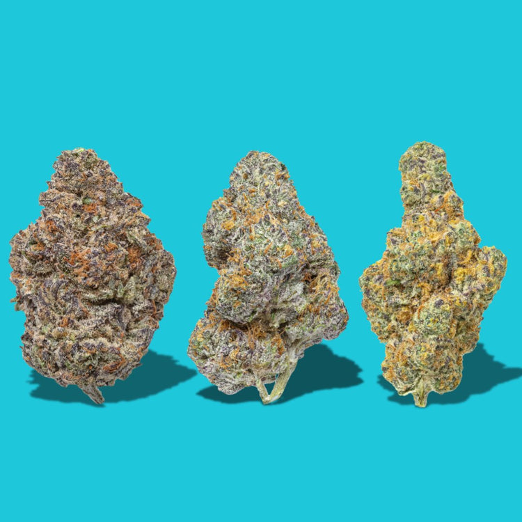 THCA Flower-cannabis flower-thca-indica-sativa-hybrid-The Green Leaf
