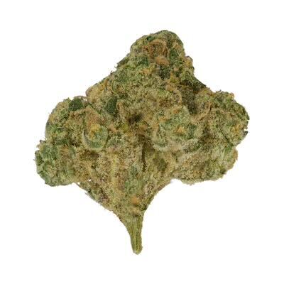 Cheddar Cheese - AAA - Hybrid - 1g to 28g - The Green Leaf Cannabis