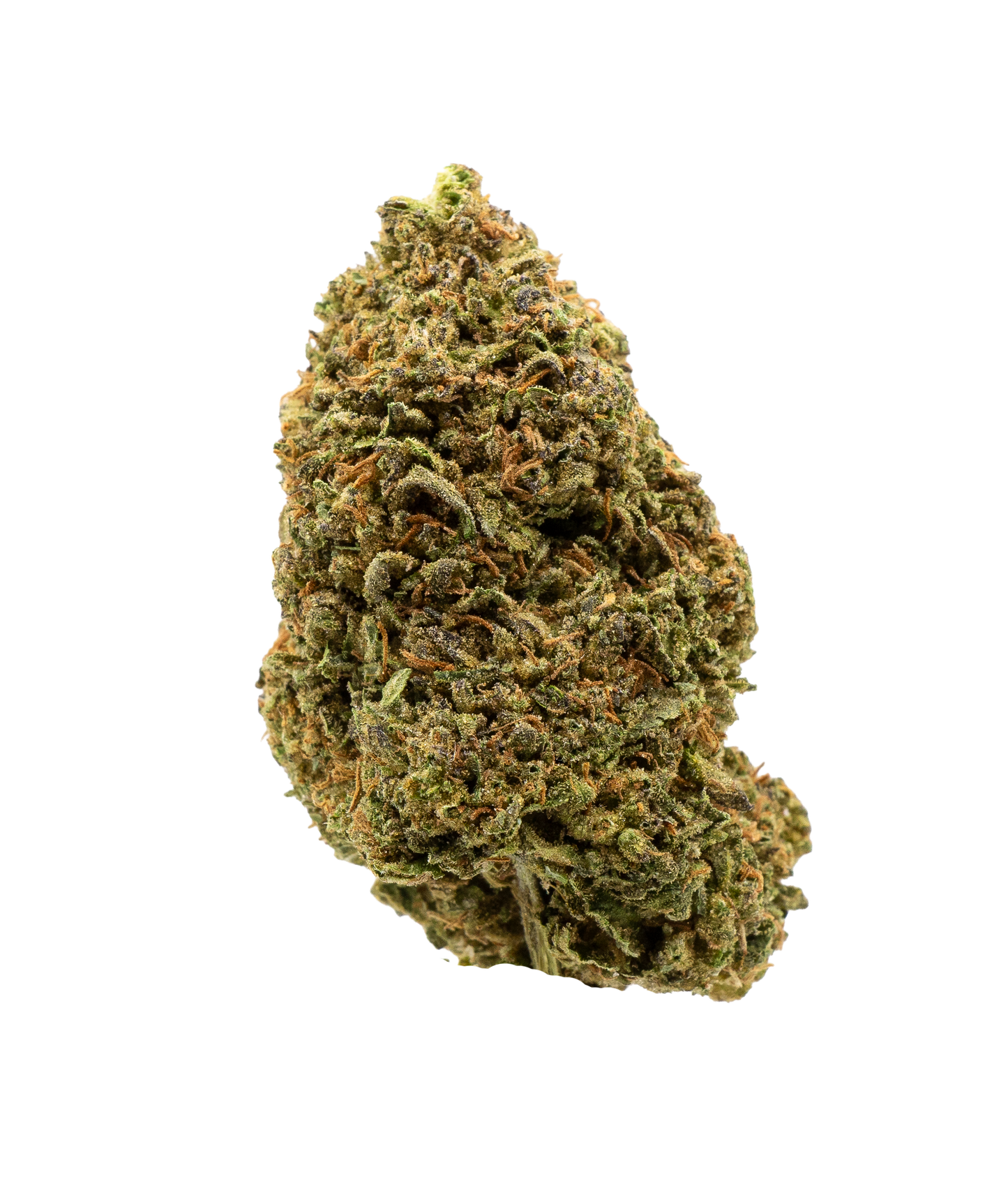 Golden Gas THCA Flower - AA - Hybrid - 1g to 1 pound - The Green Leaf Cannabis