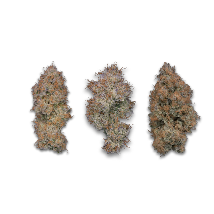 Hybrid Flower- hybrid strain-cannabis flower-The Green Leaf