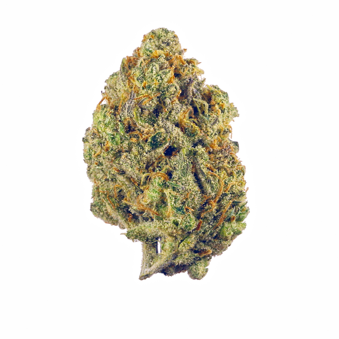 Gelato King cannabis flower from The Green Leaf Cannabis—premium Hybrid strain with dense, trichome-covered buds in shades of deep green and purple, featuring sweet, creamy, and gassy aroma notes. Known for balanced effects that promote relaxation, creativity, and euphoria.