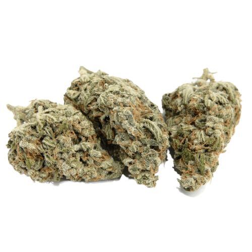 Jello Shot THCA Flower - AAA - Sativa - 1g to 28g - The Green Leaf Cannabis