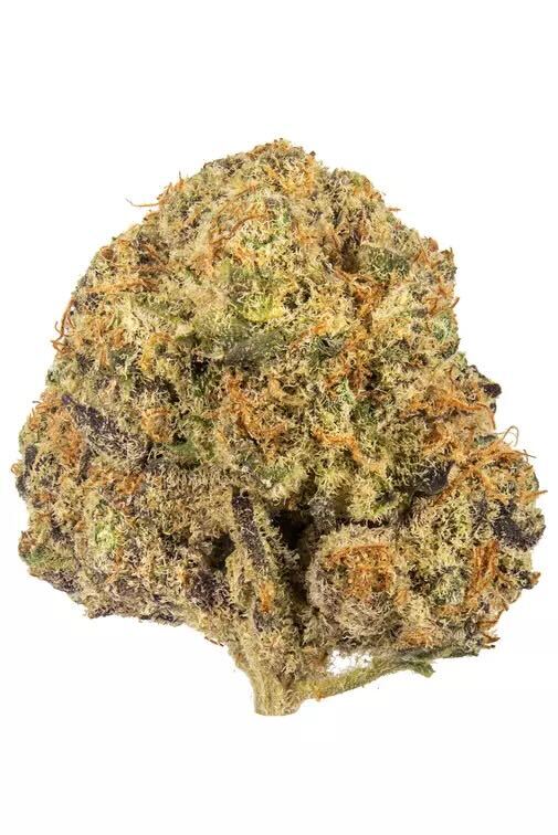 Laffy Taffy THCA Flower - AAA - Sativa- 1g to 1 pound - The Green Leaf Cannabis