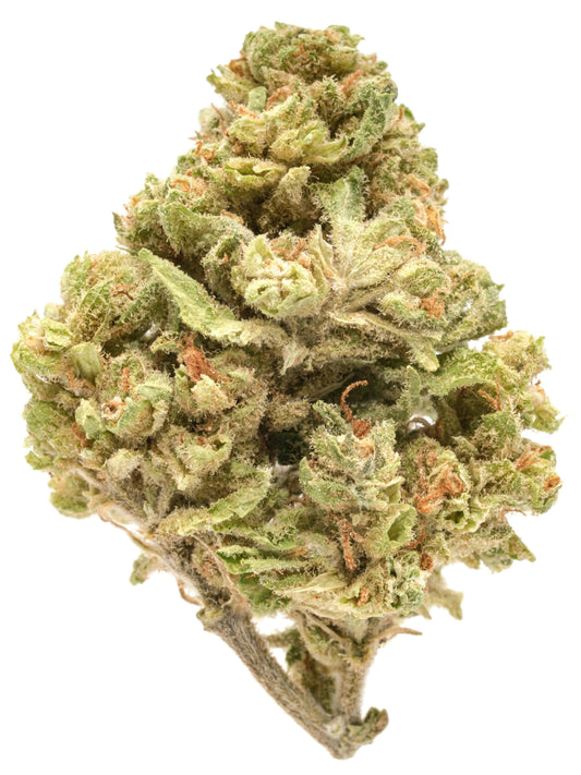 Acapulco Gold THCA Flower - AA - Sativa - 1g to 1 pound - The Green Leaf Cannabis
