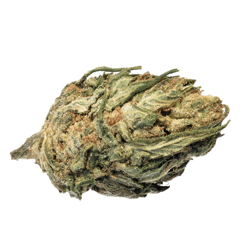 Cheetah Piss THCA Flower - A - Sativa- 1g to 1 pound - The Green Leaf Cannabis