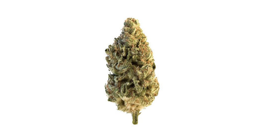 Eye Candy THCA Flower - A - Sativa - 1g to 1 lb - The Green Leaf Cannabis