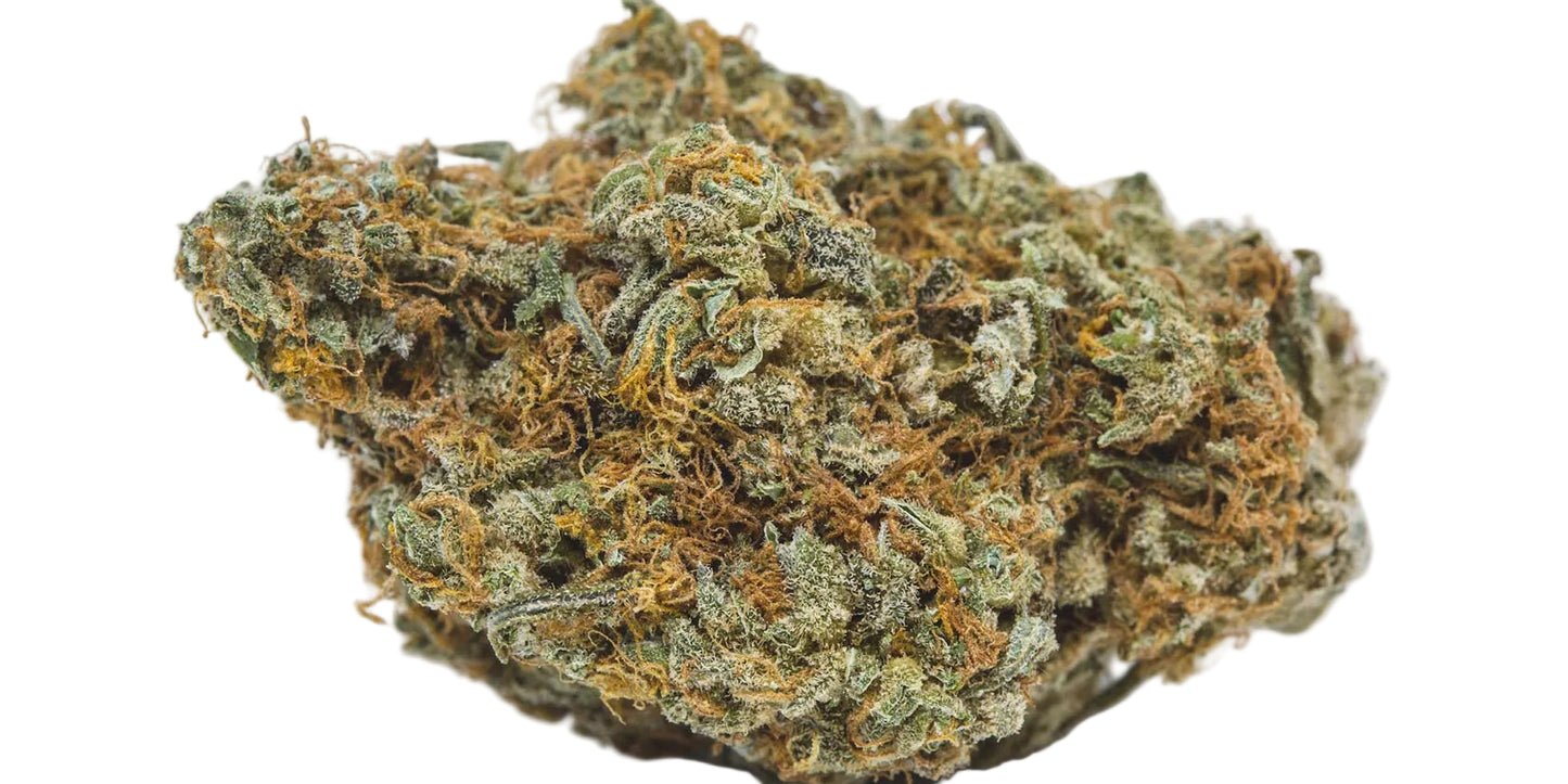 Cheetah Piss THCA Flower - A - Sativa- 1g to 1 pound - The Green Leaf Cannabis