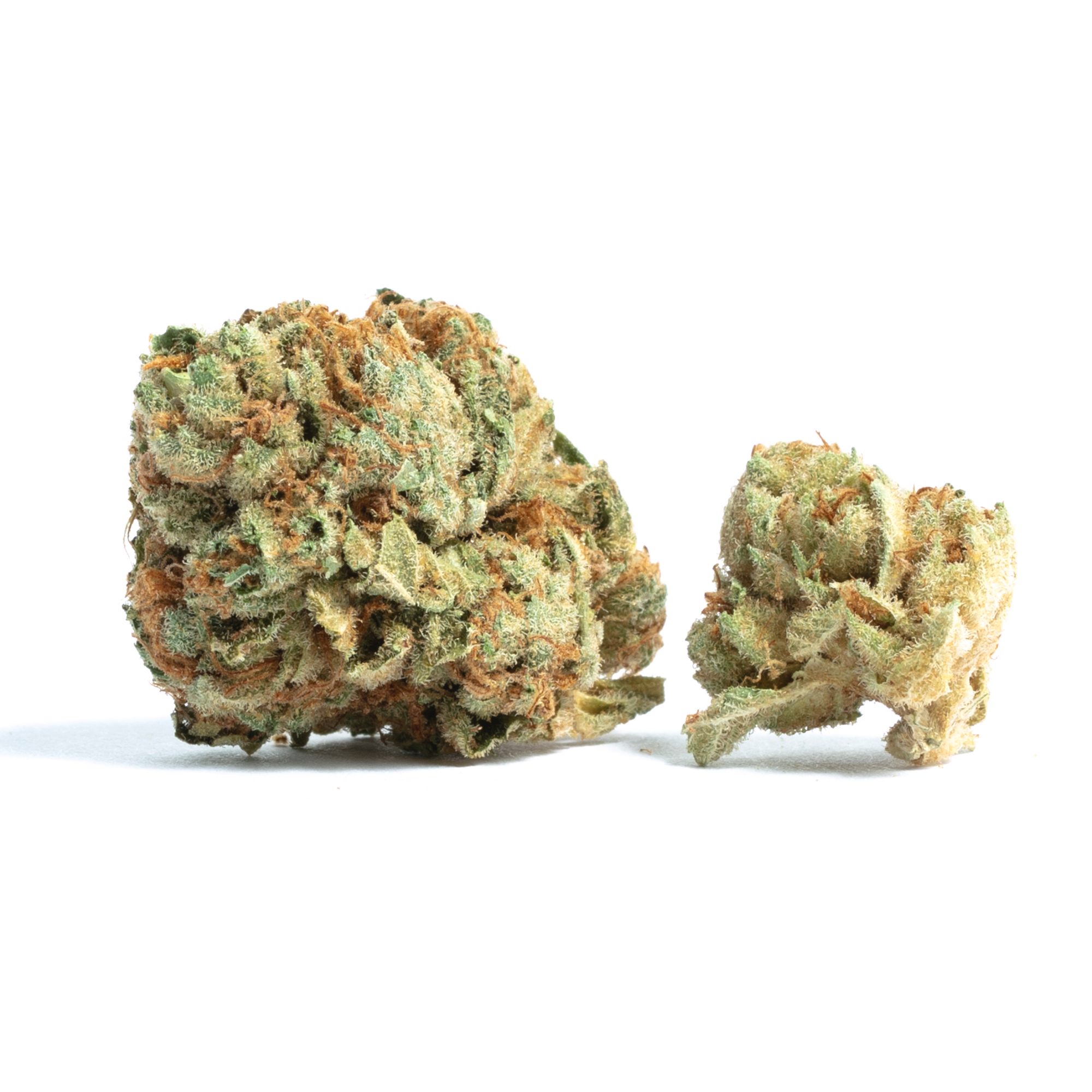 Cherry Gelato cannabis flower from The Green Leaf Cannabis—flavorful Hybrid strain with dense, purple-tinged buds coated in frosty trichomes, featuring a sweet cherry, berry, and creamy gelato aroma. Known for its balanced effects that promote relaxation, mood elevation, and smooth body relief.