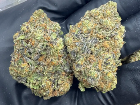 Buy Bulk Cannabis Flower Online | THCA & THC Strains | The Green Leaf ...
