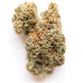 Lava Cake THCA Flower - AA - Indica- 1g to 1 lb - The Green Leaf Cannabis