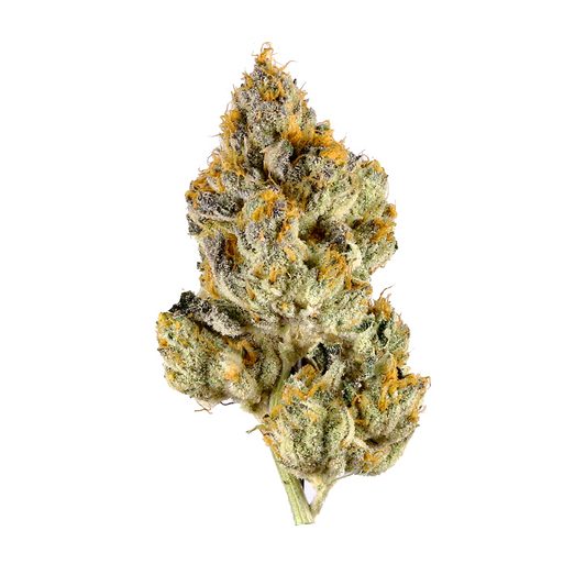 Lemon Cherry Gelato-LCG-Hybrid-strain-cannabis-flower-thca flower-weed
